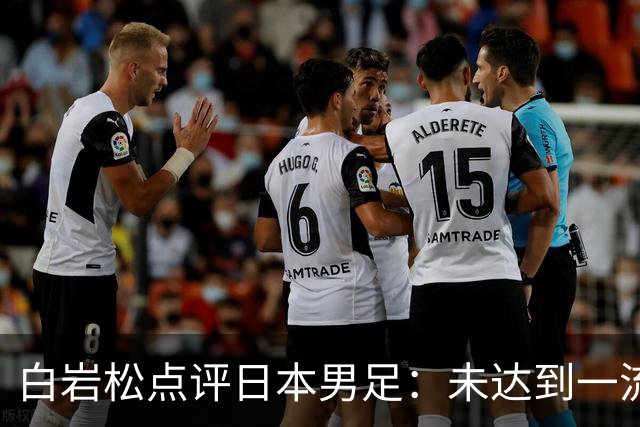 白岩松点评日本男足：未达到一流强队标准，仍需克服对荷兰的恐惧